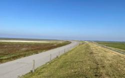 Pachters gezocht voor de Bantpolder